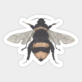 Bee, the gardener's friend. Buzzing! On bright yellow. Sticker